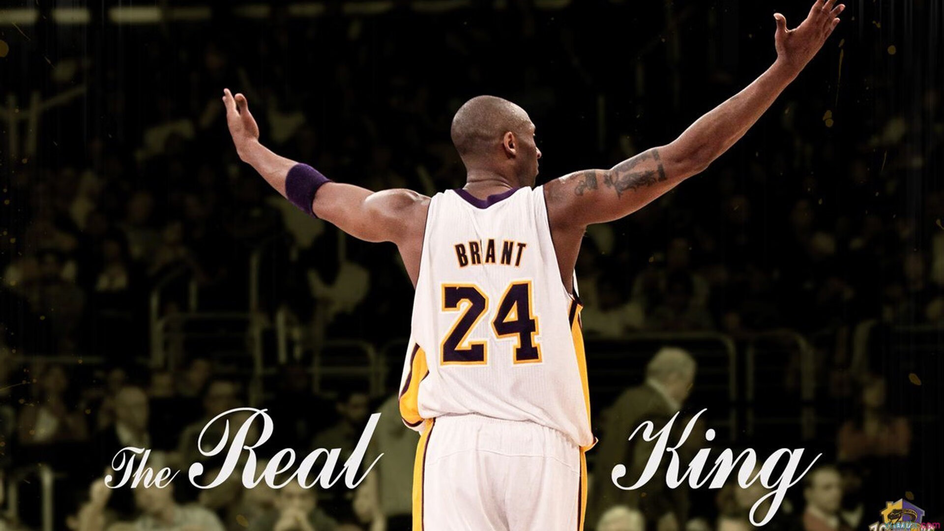 《电竞新势力：各大战队的崛起之路》，电竞圈最强战队